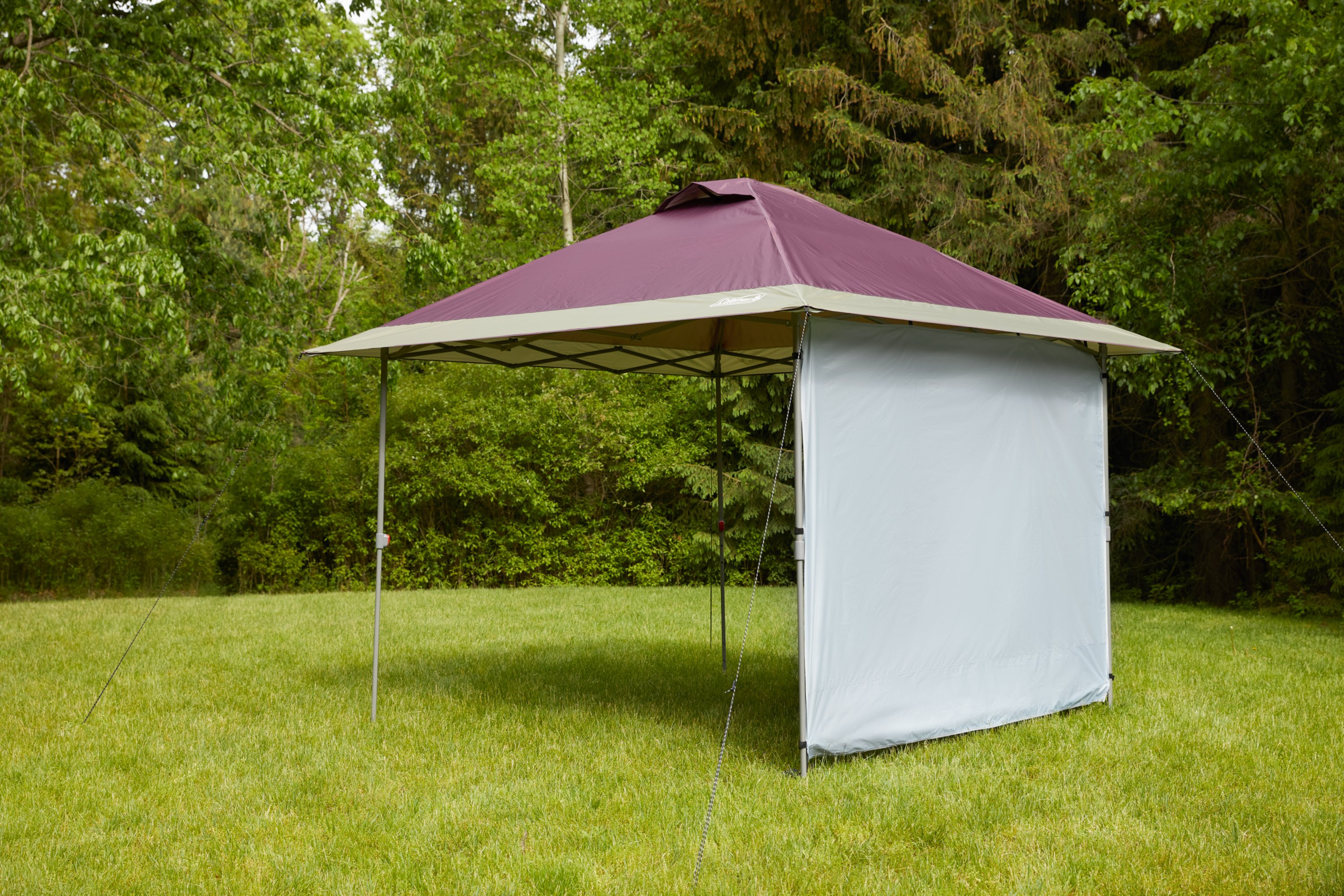 OASIS 13 x 13 Canopy Sun Wall Accessory Coleman